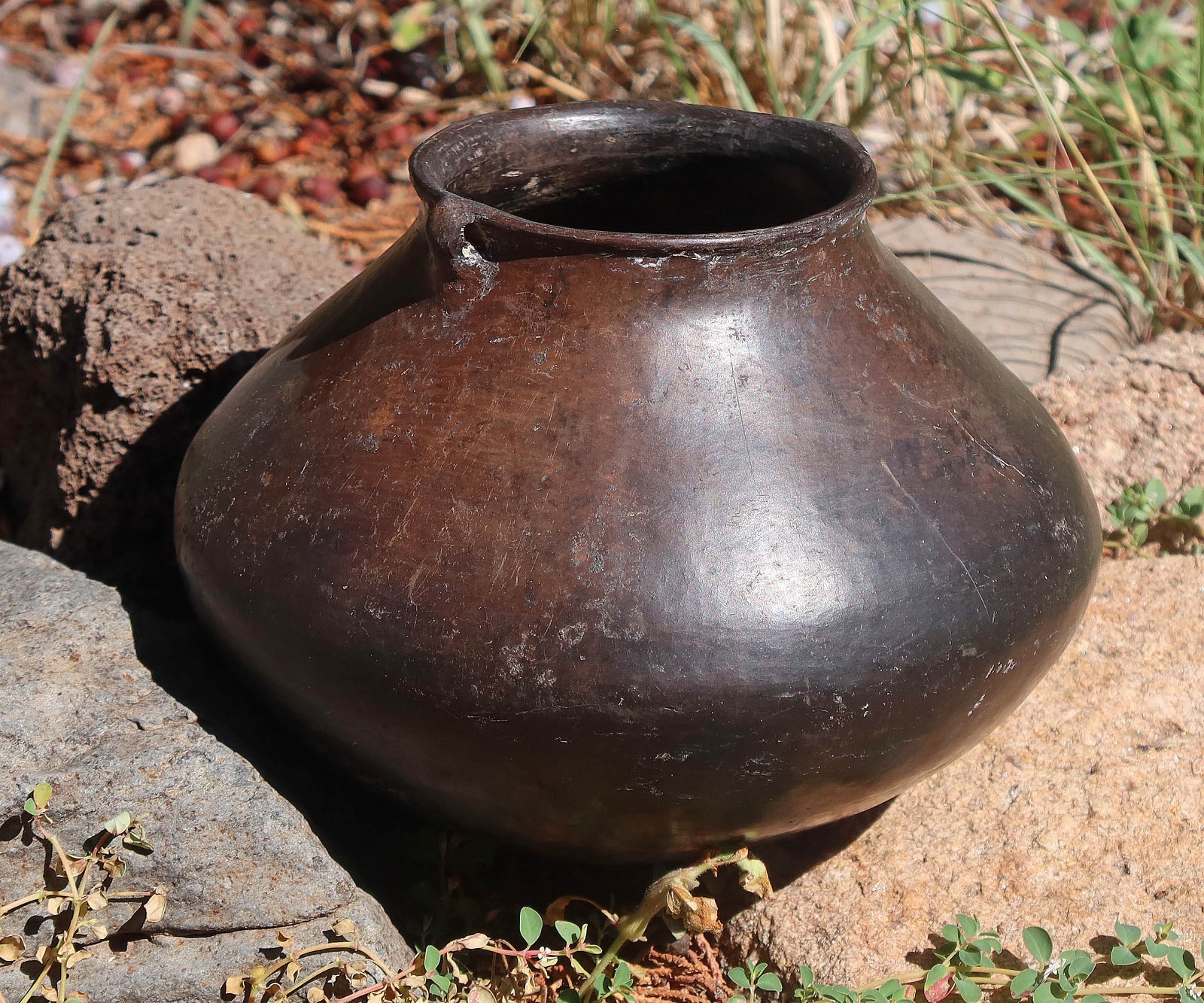 prehistoric Anasazi Casas Grandes Ramos jar with lugs no restoration 600-1450 AD
