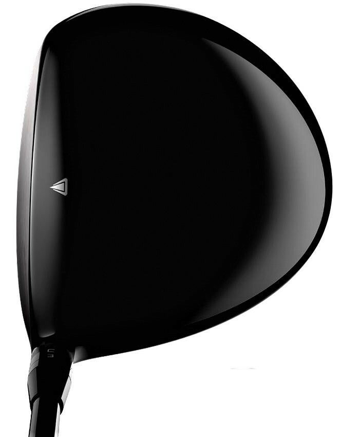 GP Touch-up Paint for Titleist TS/TR/GT series clubs, Black crown TI-GP9019TSB
