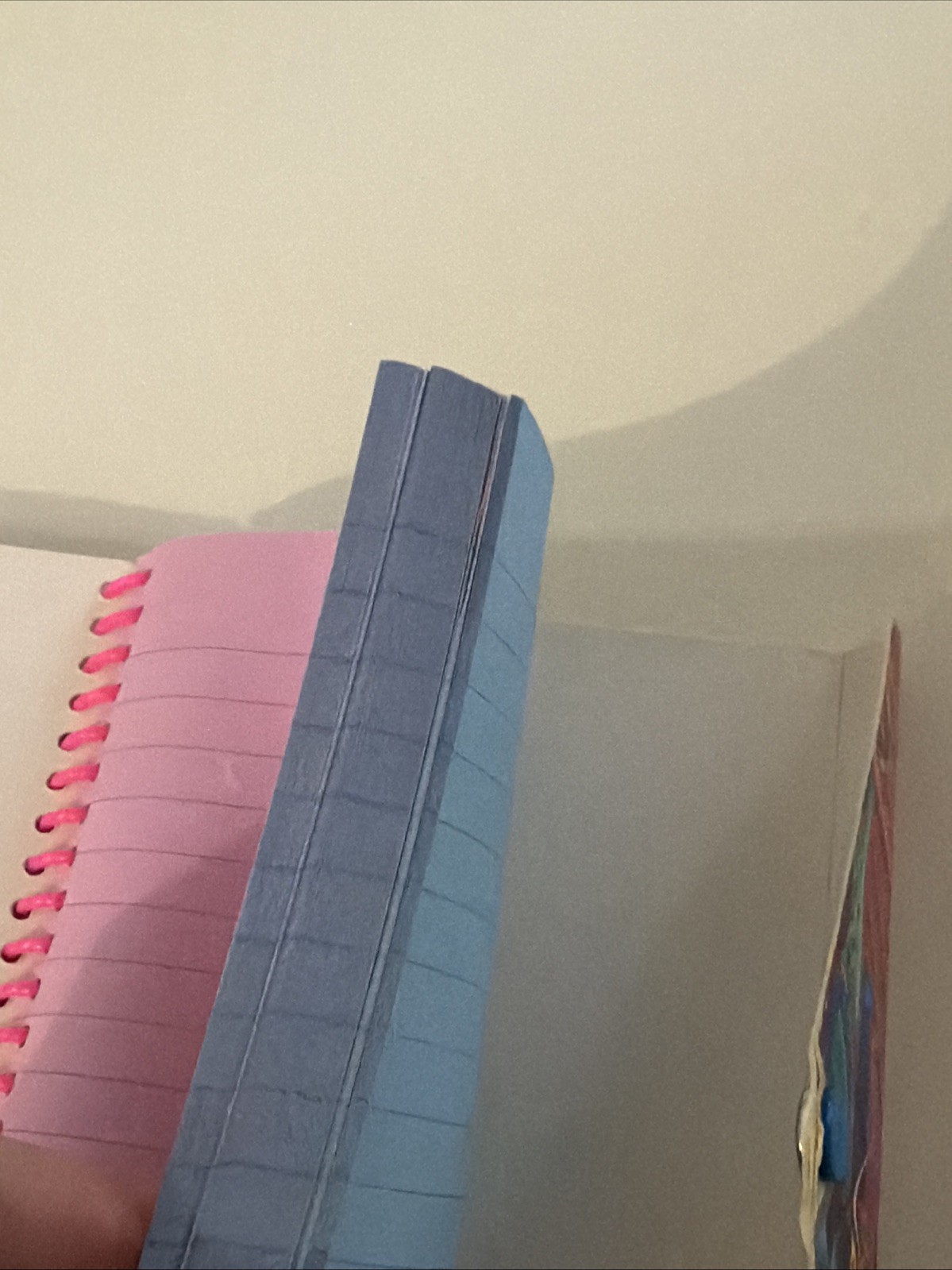 Lisa Frank Dancing 90’s Dolphins Spiral Button Snap Notebook