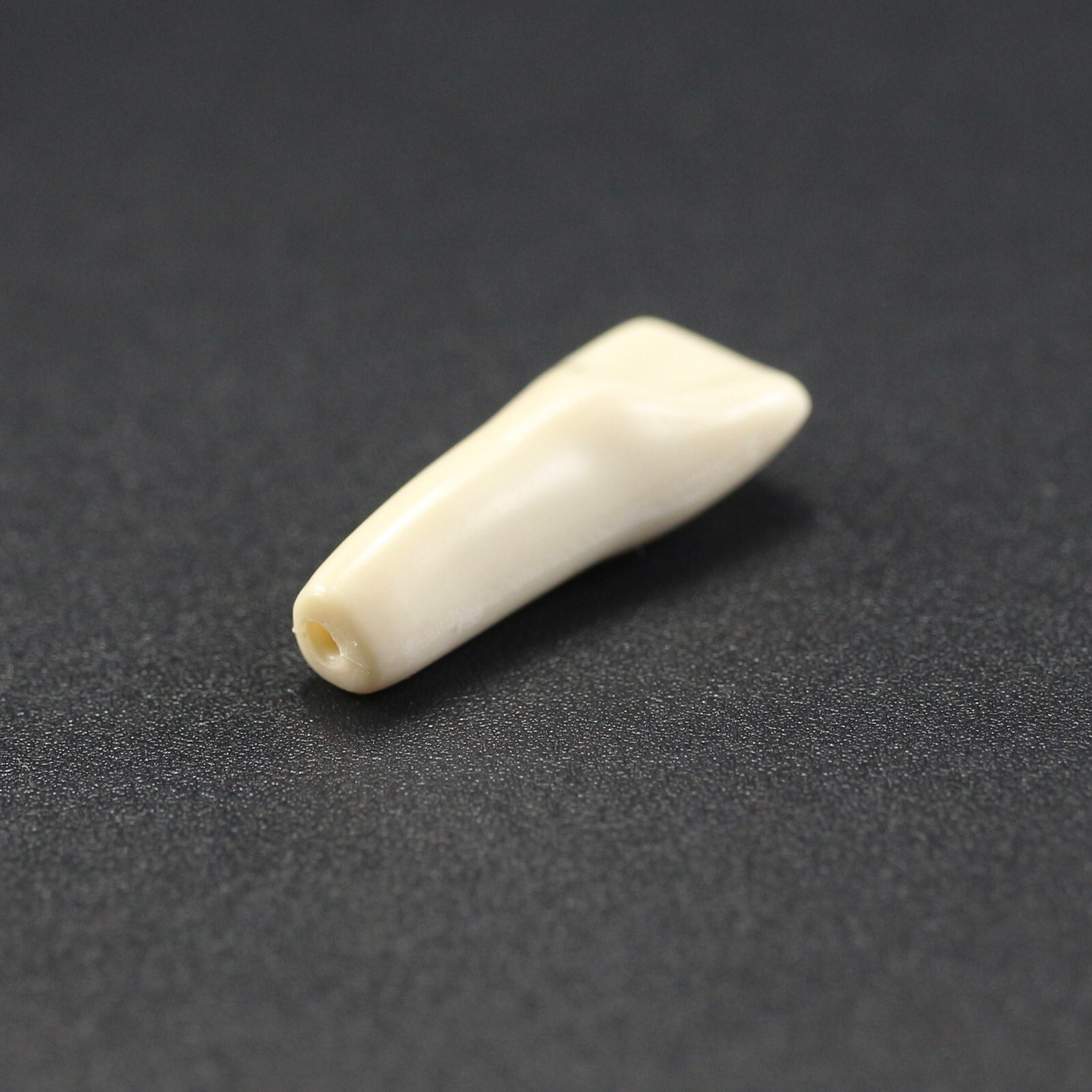 Columbia 860 10pcs/lot Dental Individual Typodont Teeth Replacement