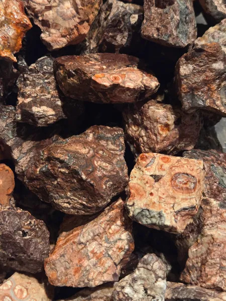 Bird's Eye Rhyolite 1 lb Rough Rocks For Tumbling