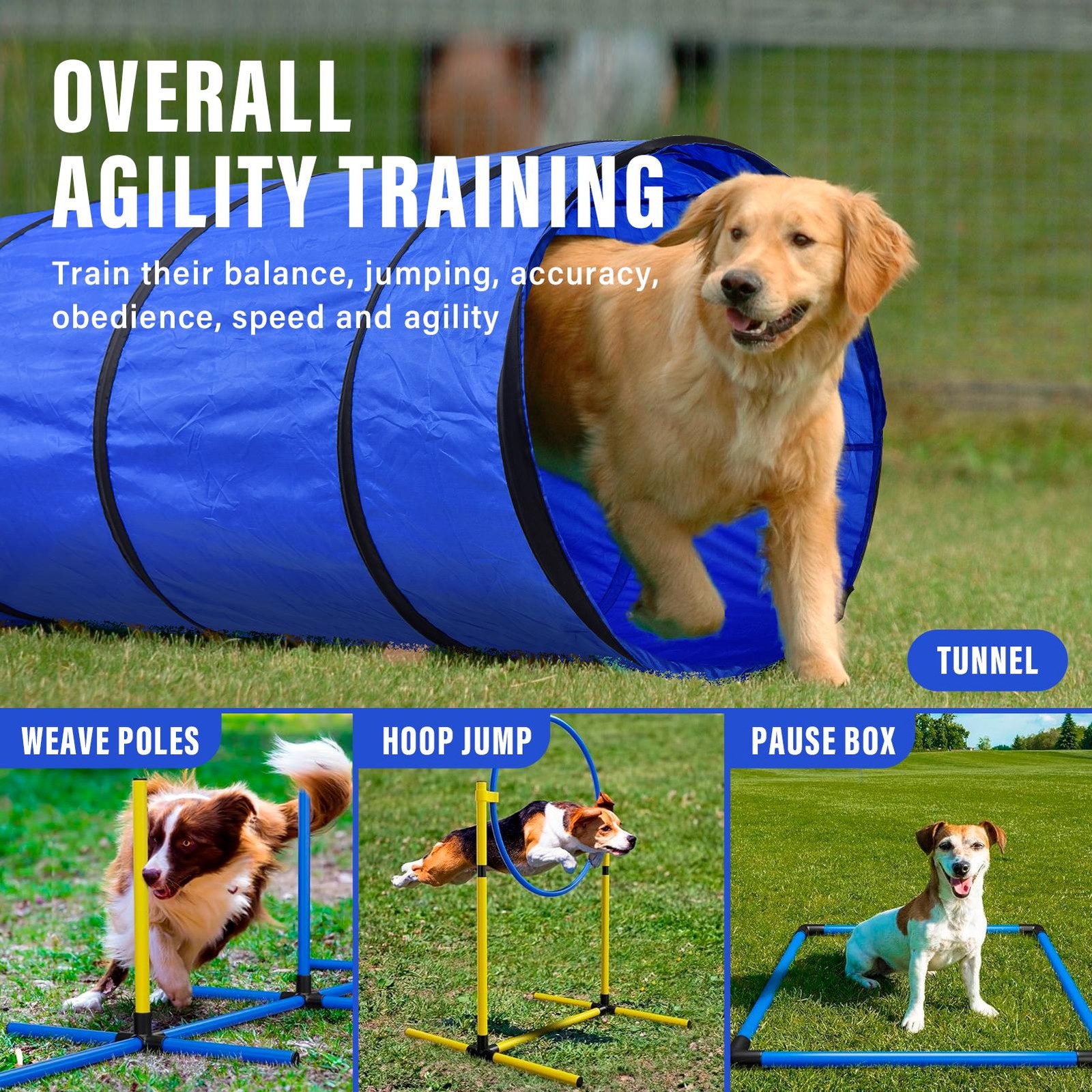Dog Agility Training Equipment Set, Obstacle Course Starter Kit for Pet Outdoor