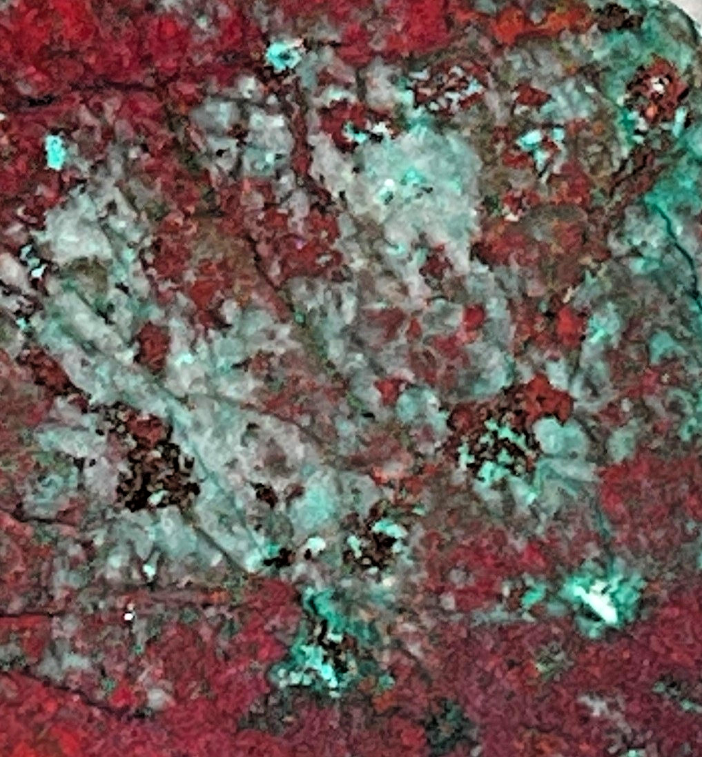 Sonora Sunrise Sunset Chrysocolla Cuprite 5.25"x2.25" Lapidary Rough Slab S1