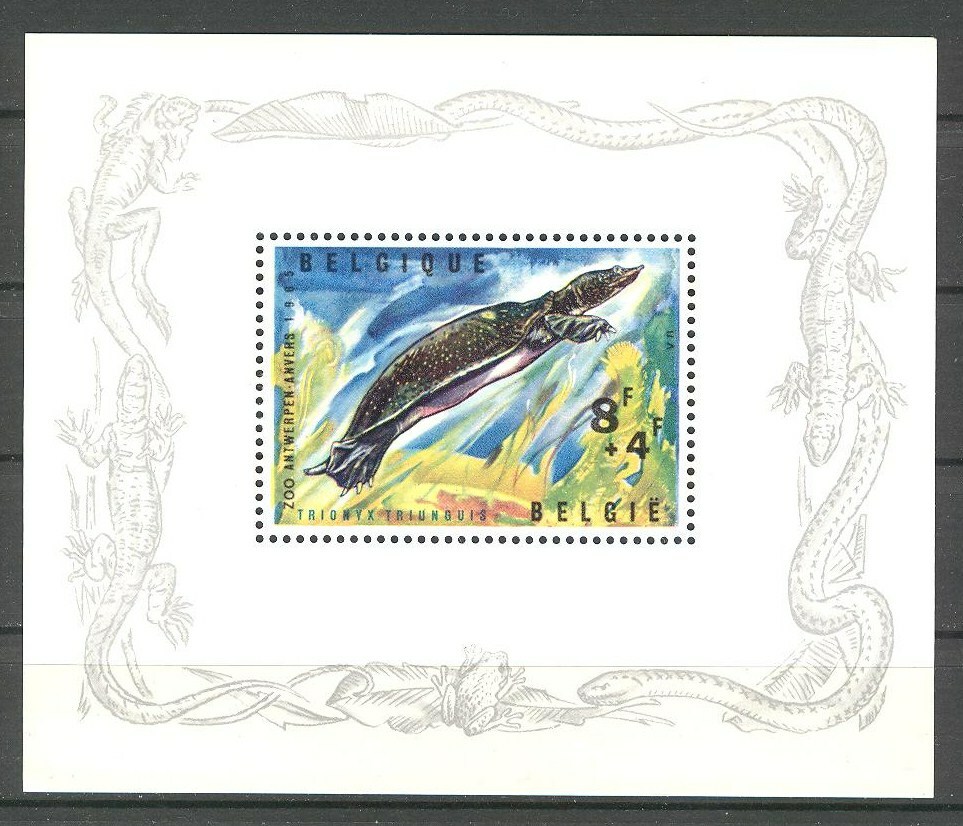 BE - BELGIUM 1965 complete year set MNH