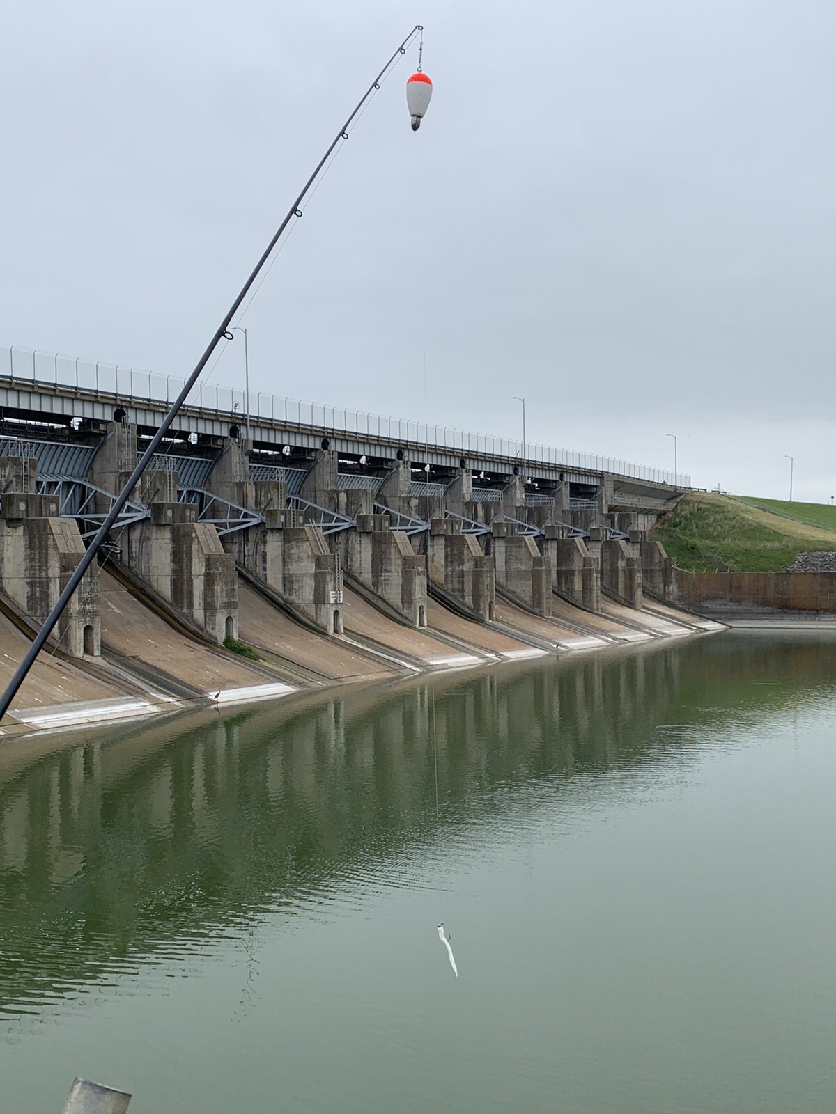 2oz, 4 inch weighted foam floats, 5 Pieces