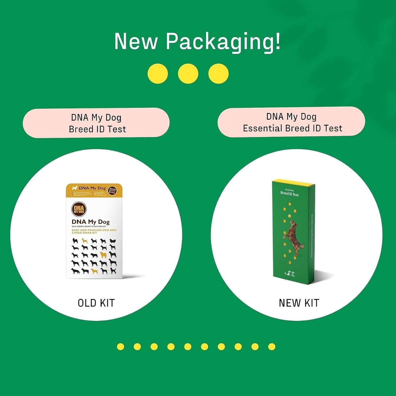 Dog Breed DNA Test Kit – 350+ Breeds, 99% Accuracy, Cheek Swab, 2-Week Results