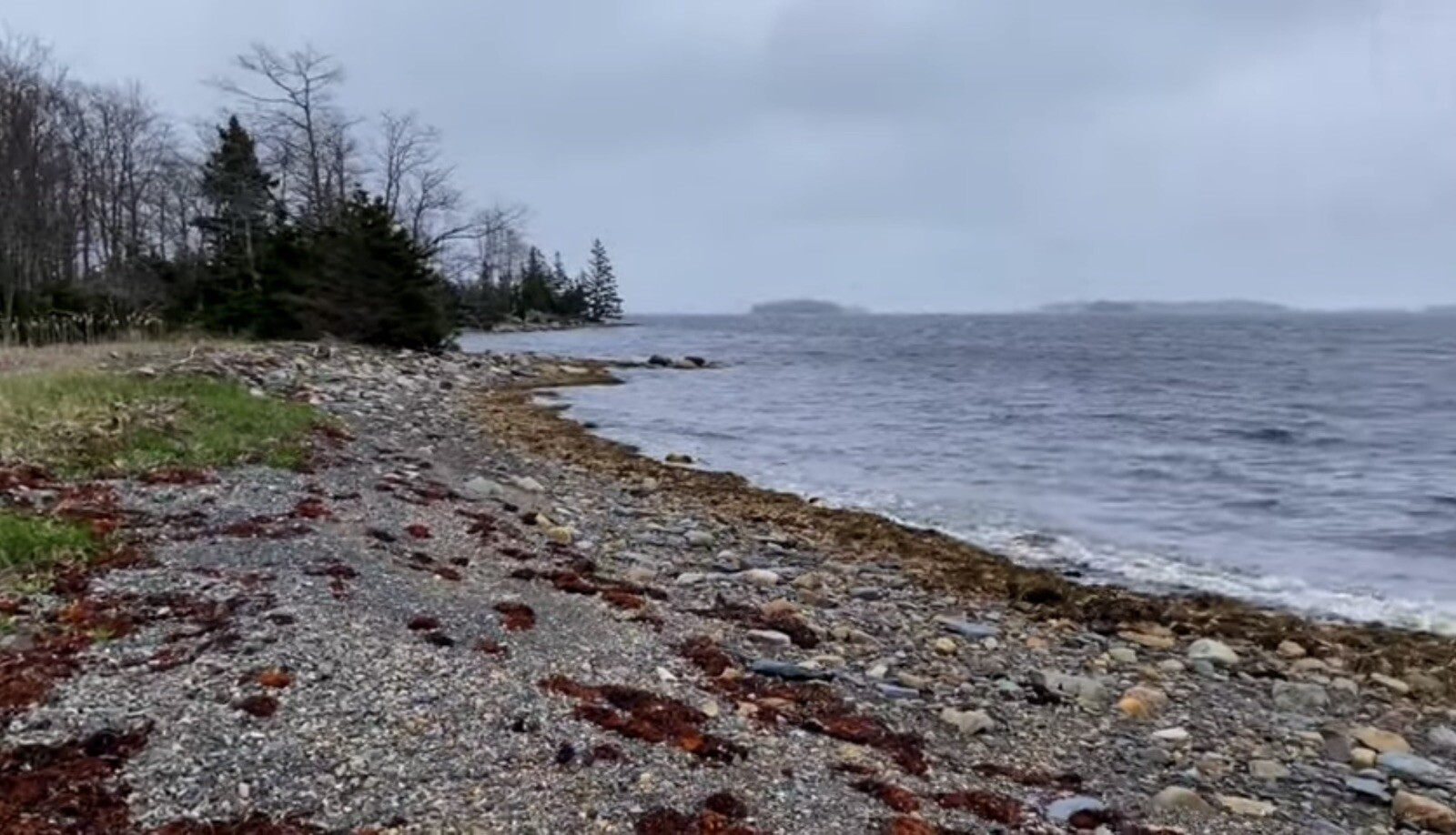 Oak Island Nova Scotia Sand Sample Mohone Bay