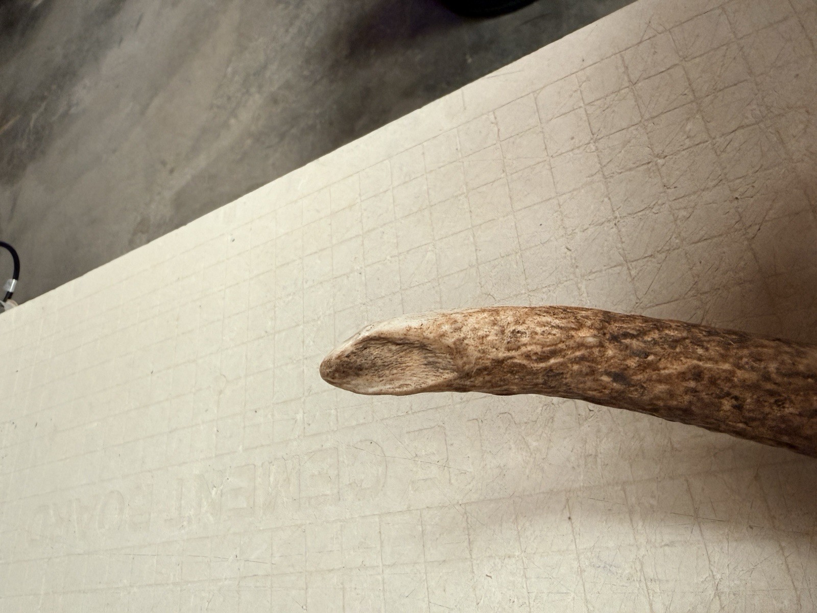 6x6 Set Of Elk Sheds ~ Elk Antlers ~ Cabin Decor