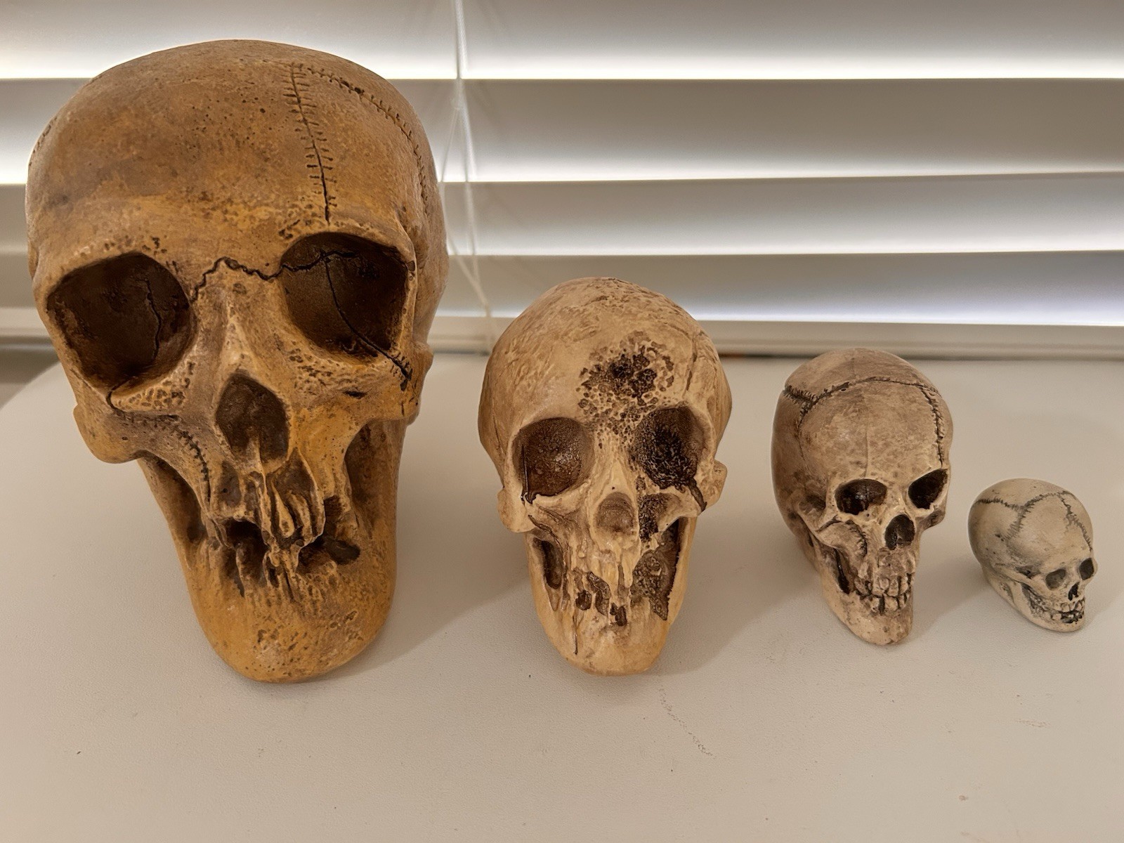 4 EA RANDOTTI ORIGINAL SKULLS LARGE, VOO DOO, PIXIE & SMALL SKULL ALL STILL GLOW