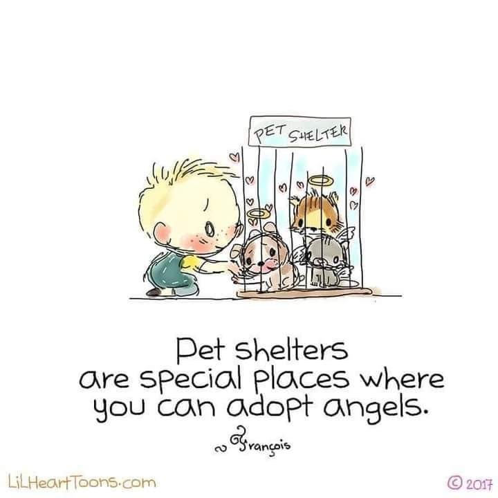 1/87 HO scale Noch FIGURES 15958 - 6 Nude Females Pre-Painted