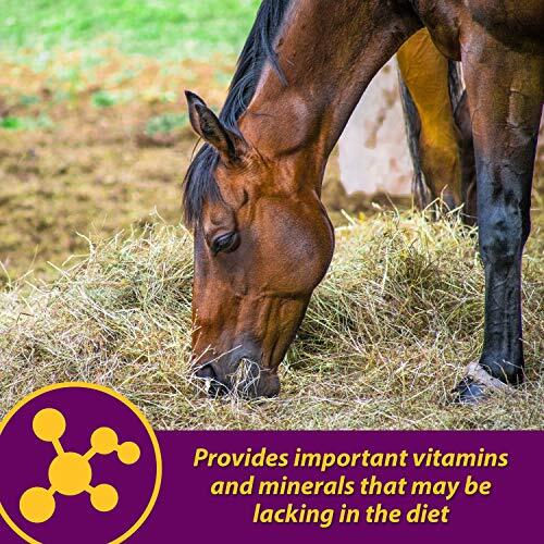 Horse Health Red Cell, Liquid Vitamin-Iron-Mineral Supplement for Horses,