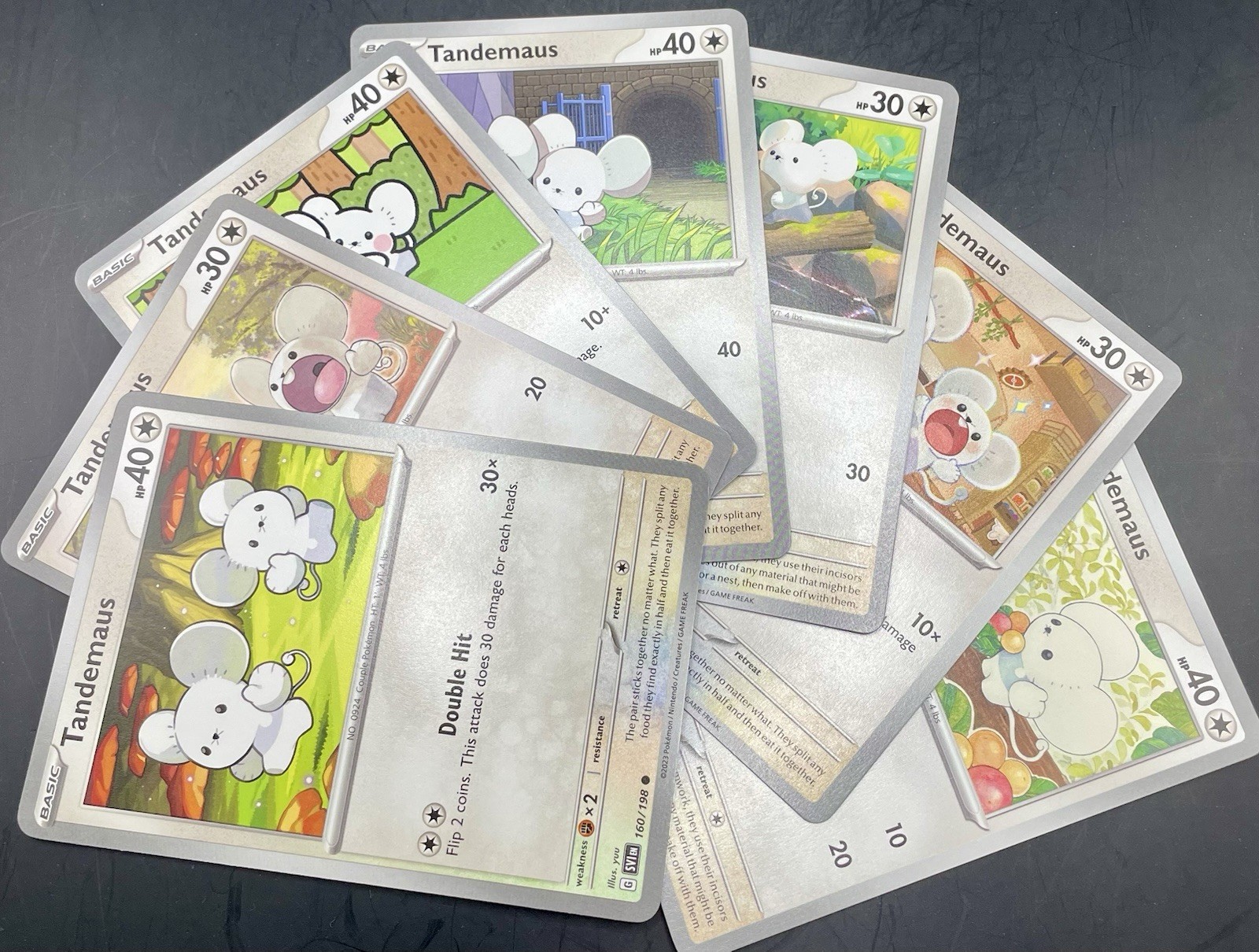7x Tandemaus Lot - All 7 Scarlet & Violet Commons [Unique Artwork] Pokemon NM/M