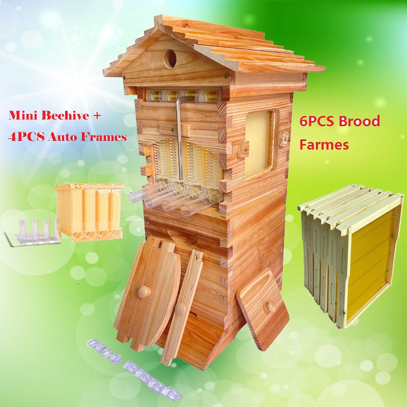 10X Auto Honey Hive Beehive Frames + Beekeeping Brood MINI 2 Layer Box House