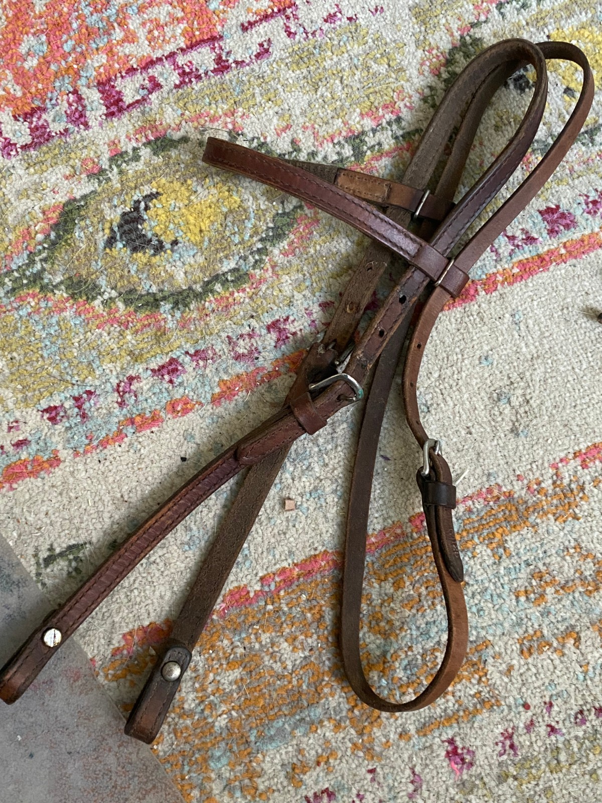 Circle Y working headstall used western tack FREE SHIPPING here