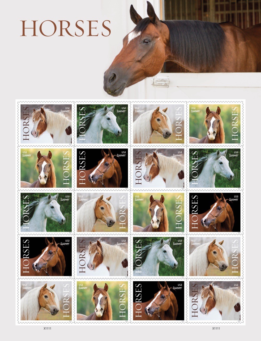 2024 USPS Horses Postage Stamps Sheet of 20 First Class Letter 78 cents