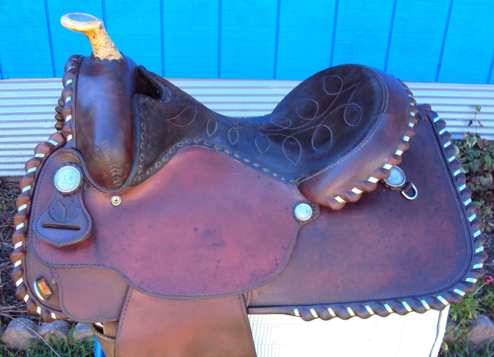 CIRCLE Y Western Show Saddle - 15" - SILVER CONCHOS - Padded Seat - BEAUTIFUL!