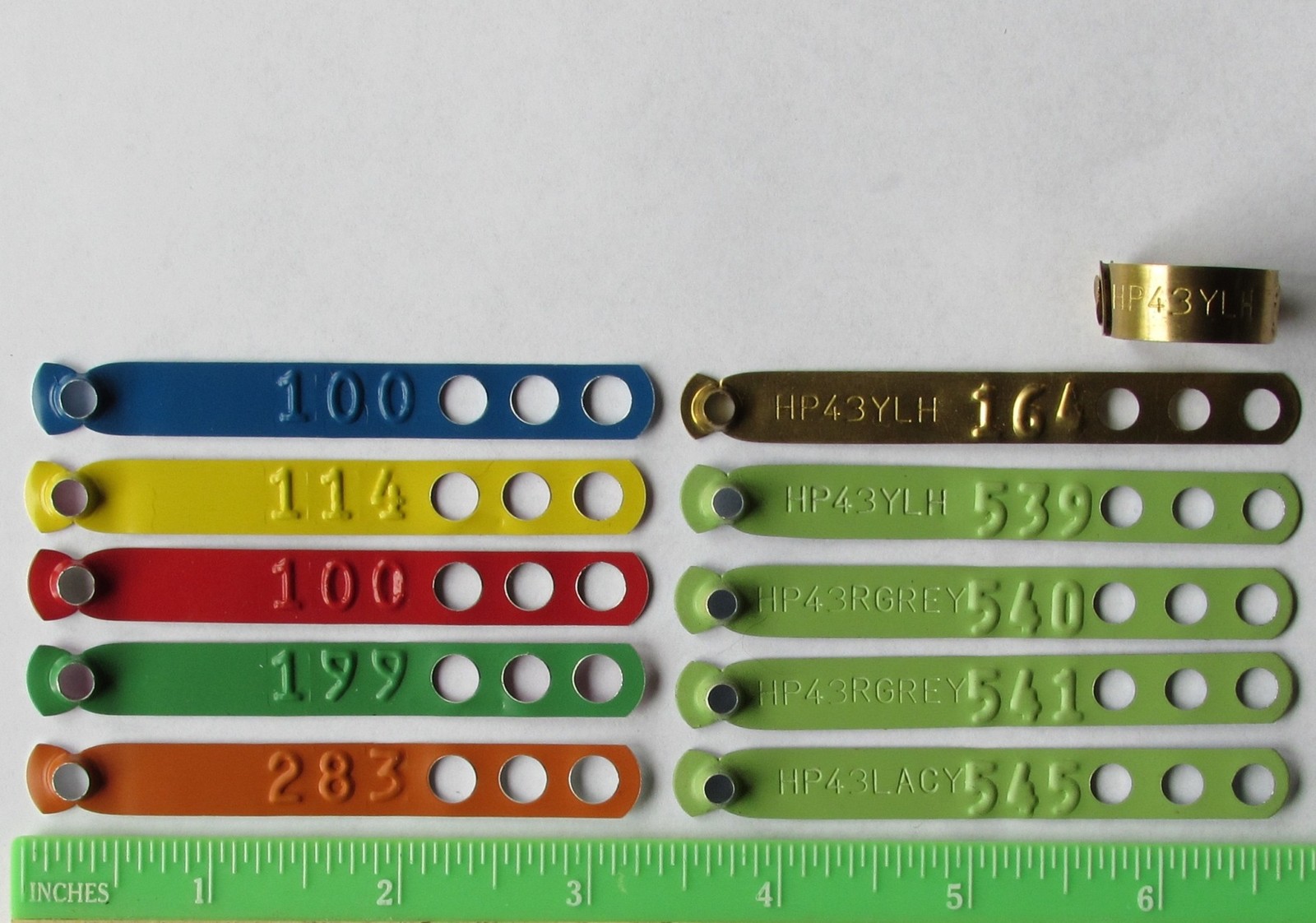 Leg Band Application Pliers (1pc) for Chicken Poultry Identification Leg Rings