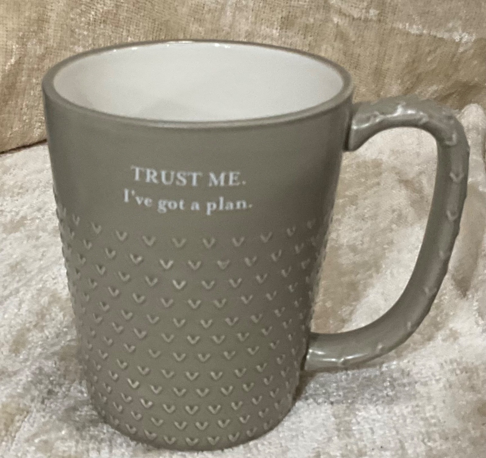 Hallmark ‘TRUST ME I’ve got a plan’ Coffee Mug Gray 3D 4” x 3.5”