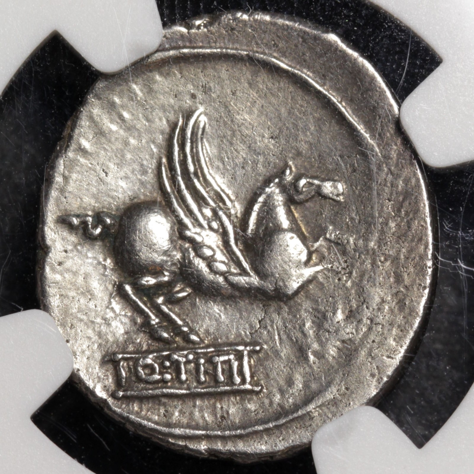 Pegasus Denarius Ancient Roman Republic Silver Coin 90BC NGC VF Titius