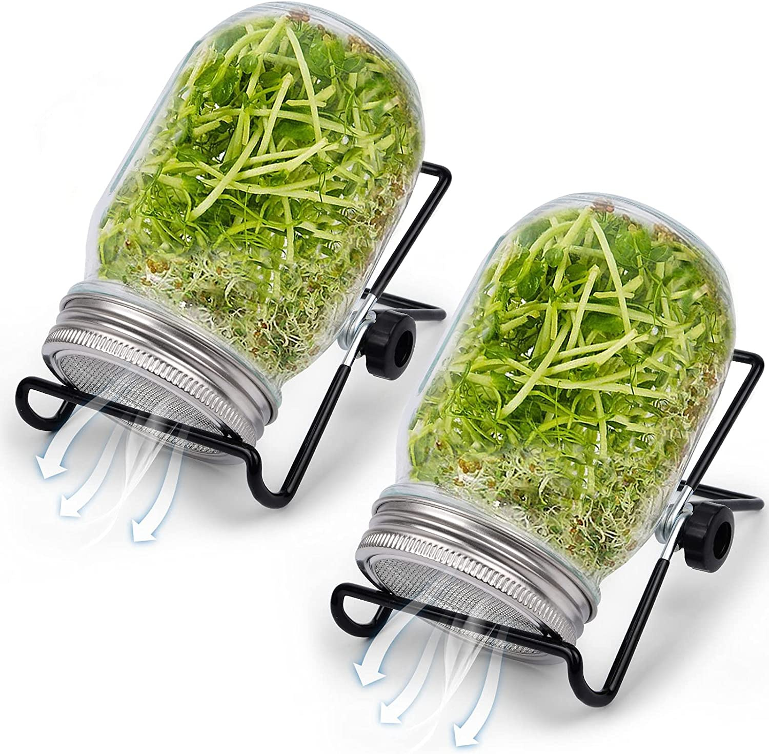 Seed Sprouting Jar，Broccoli Sprouts Growing Kit with Screen Lids Wide Mouth Maso