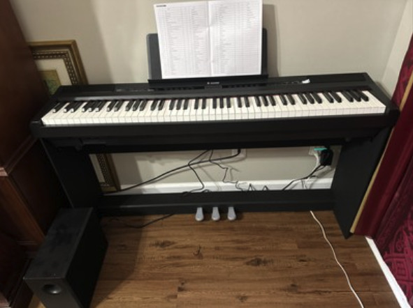 Donner DEP-20 Digital Piano Keyboard 88 Weighted Keys with Stand