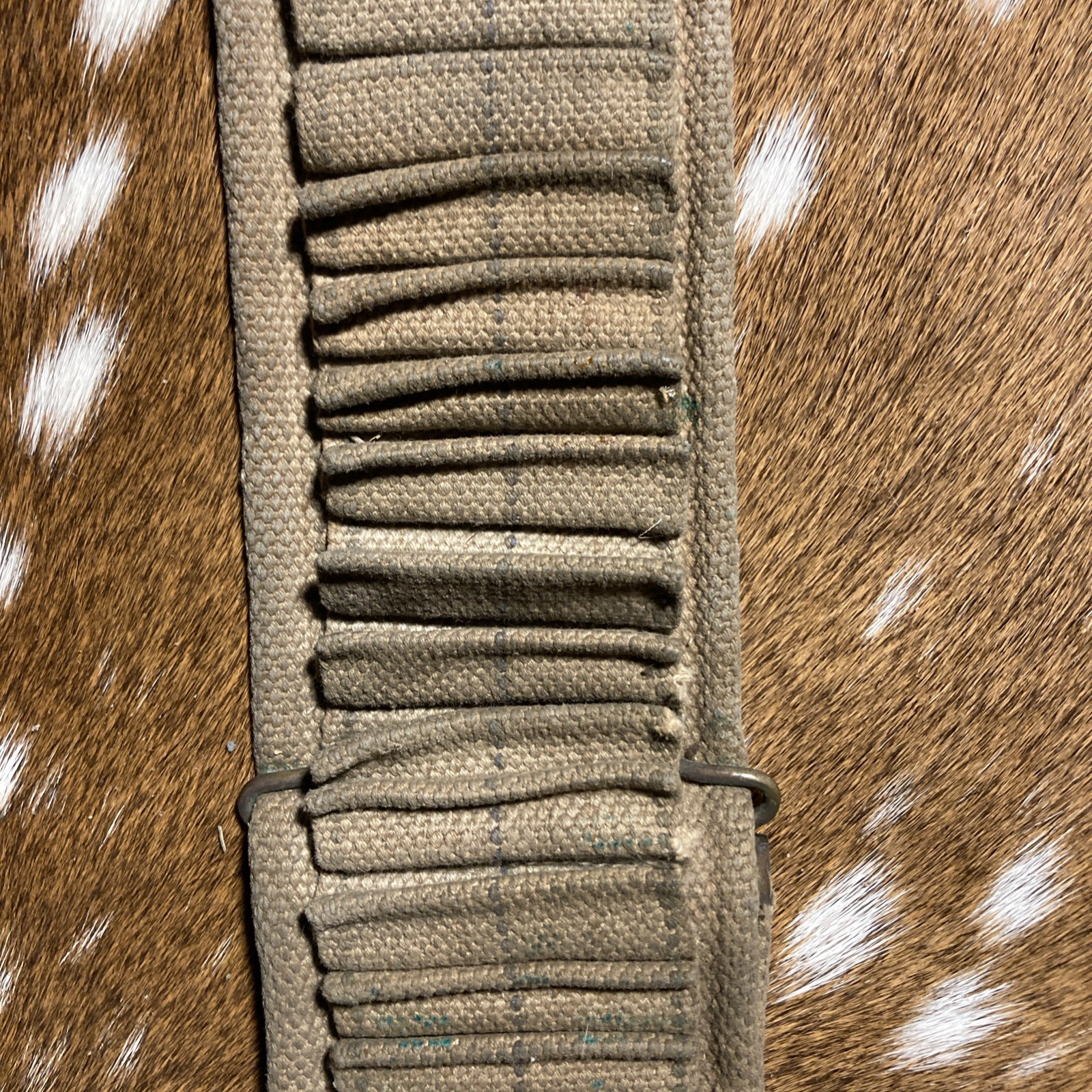 SPANISH AMERICAN WAR U.S. KRAG AMMO CANVAS BELT 45 SLOTS 30-40 Krag ?