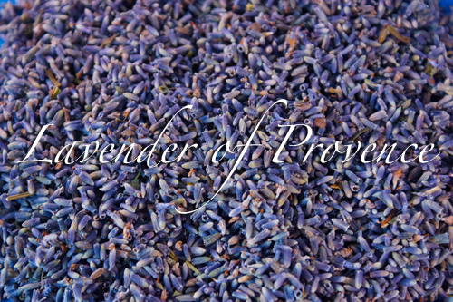 Lavender of Provence organic bulk French flower buds 1 2 4 5 8 10 16 lb  oz