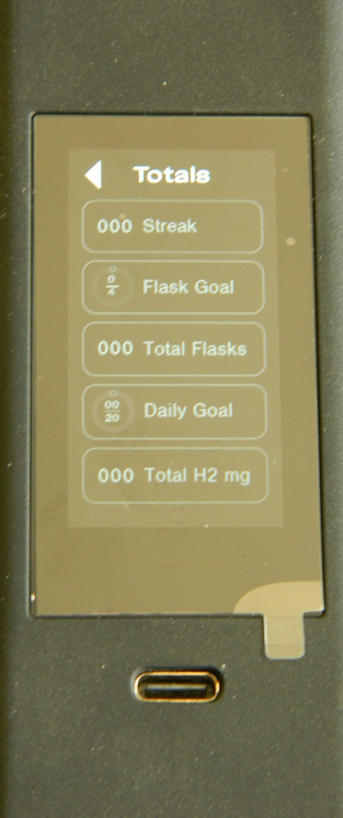 NEW Echo Flask Hydrogen Water Bottle ZERO FILLS Cable & Charger box