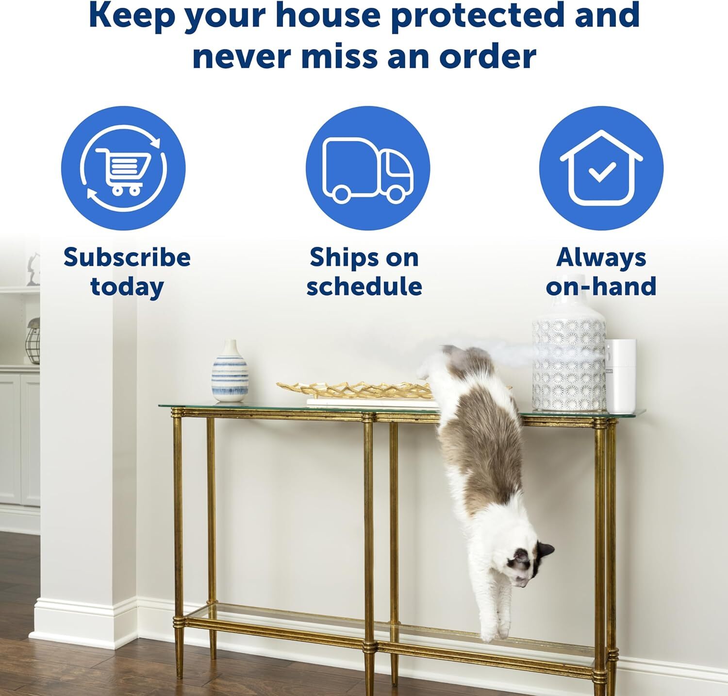 PetSafe SSSCAT PPD00-17622 Refills 3-Pack: Compatible with 1st and 2nd Gen + Cup