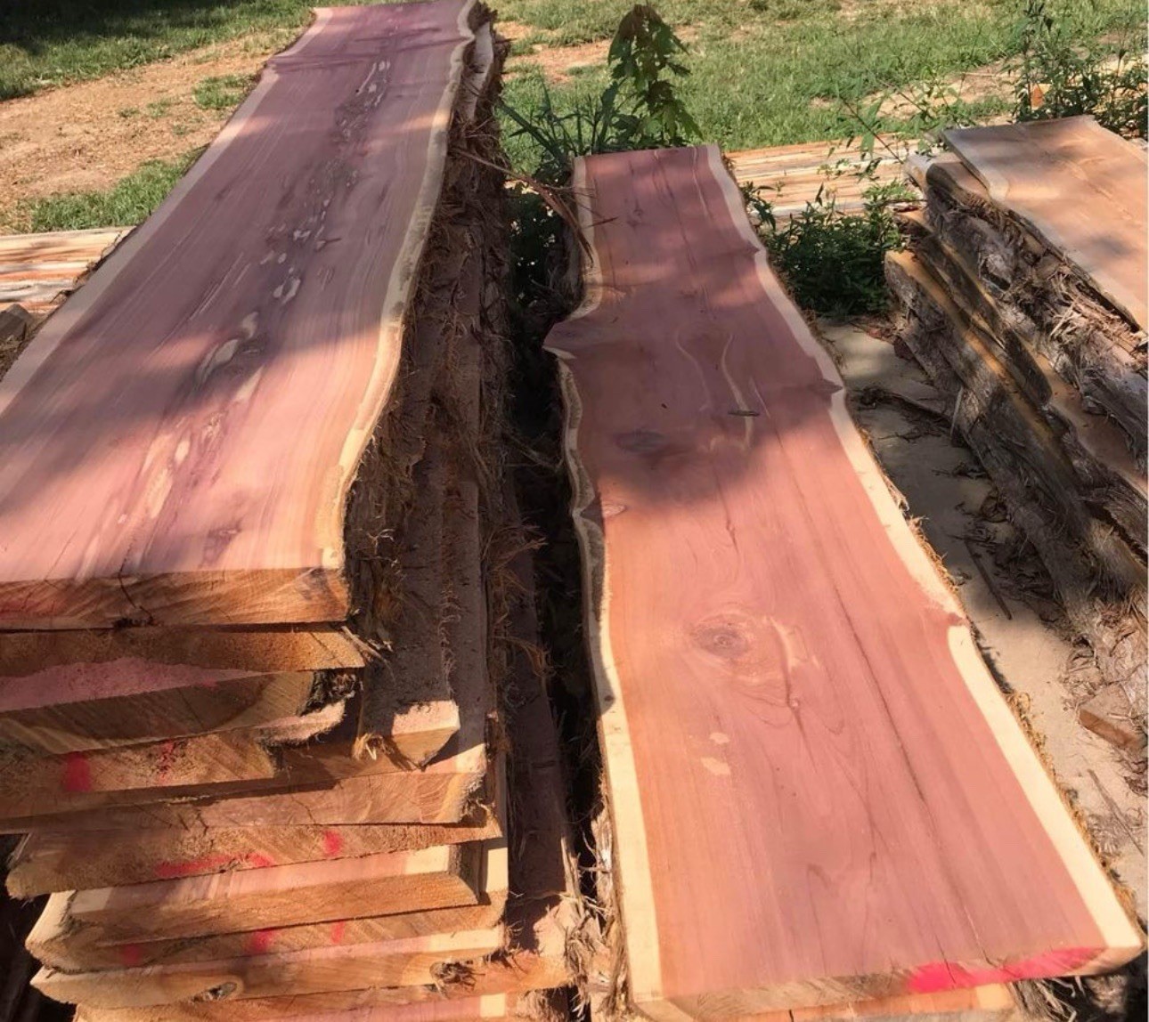 🔥 Stunning Live Edge Eastern Red Cedar – Kiln-Dried & Ready to Go!