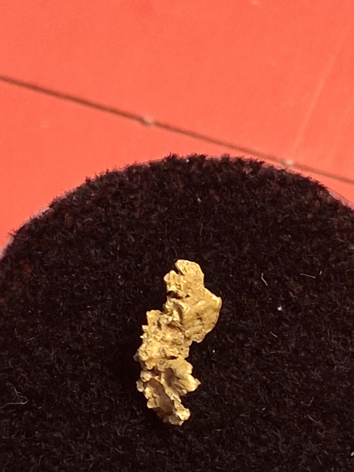 Crystalline Gold Nugget 0.294g from Kansas Twister Paydirt