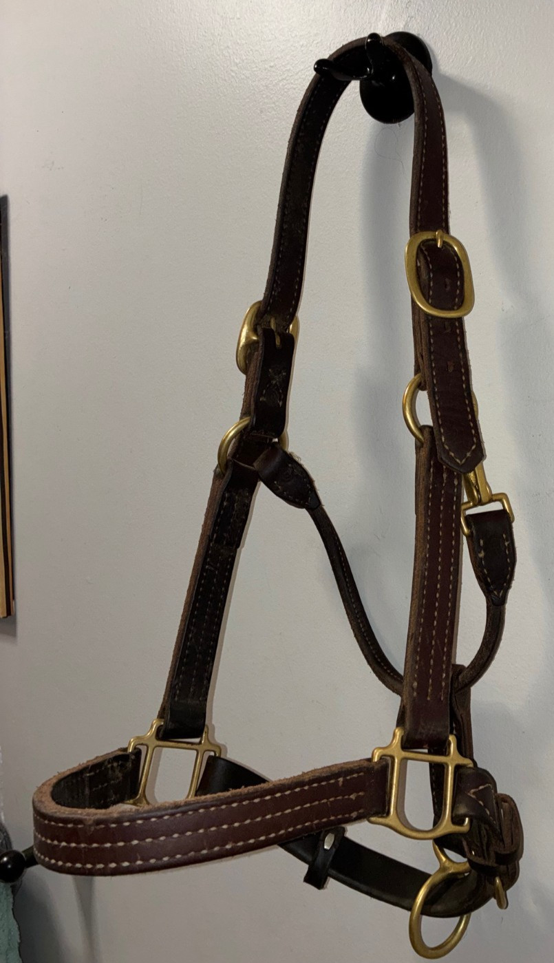 WEAVER LEATHER THICK TRIPLE STITCHED HORSE SIZE HALTER
