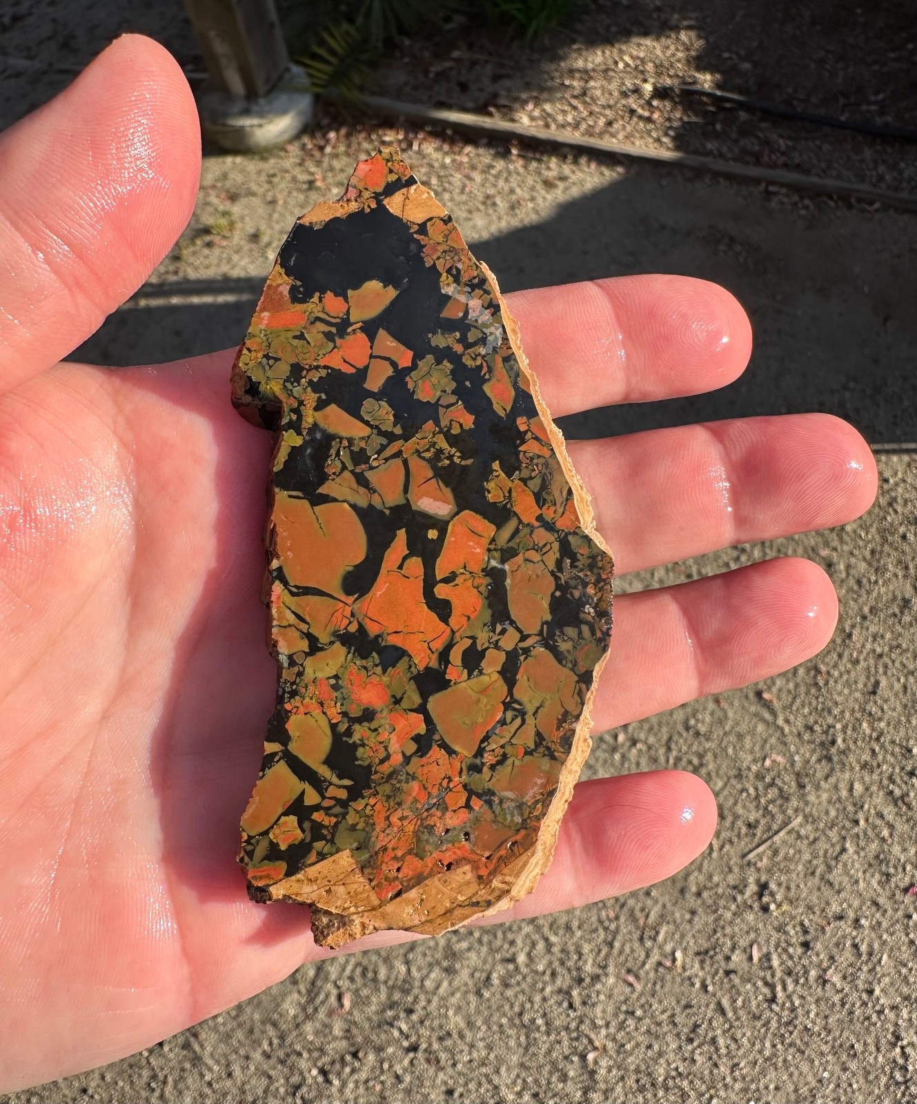 Whiskey Creek Jasper Slab, 57g, Idaho, Cabbing/Lapidary