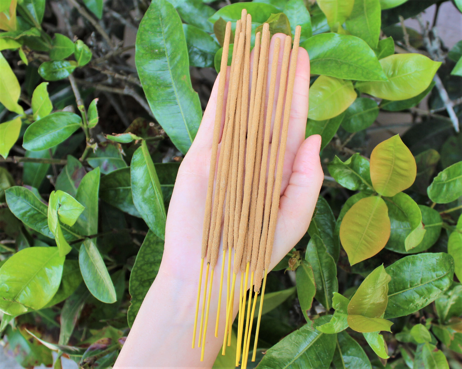 Satya Incense Sticks 15 gm: Mix & Match BUY 5 GET 5 FREE! (All 10 in Cart)