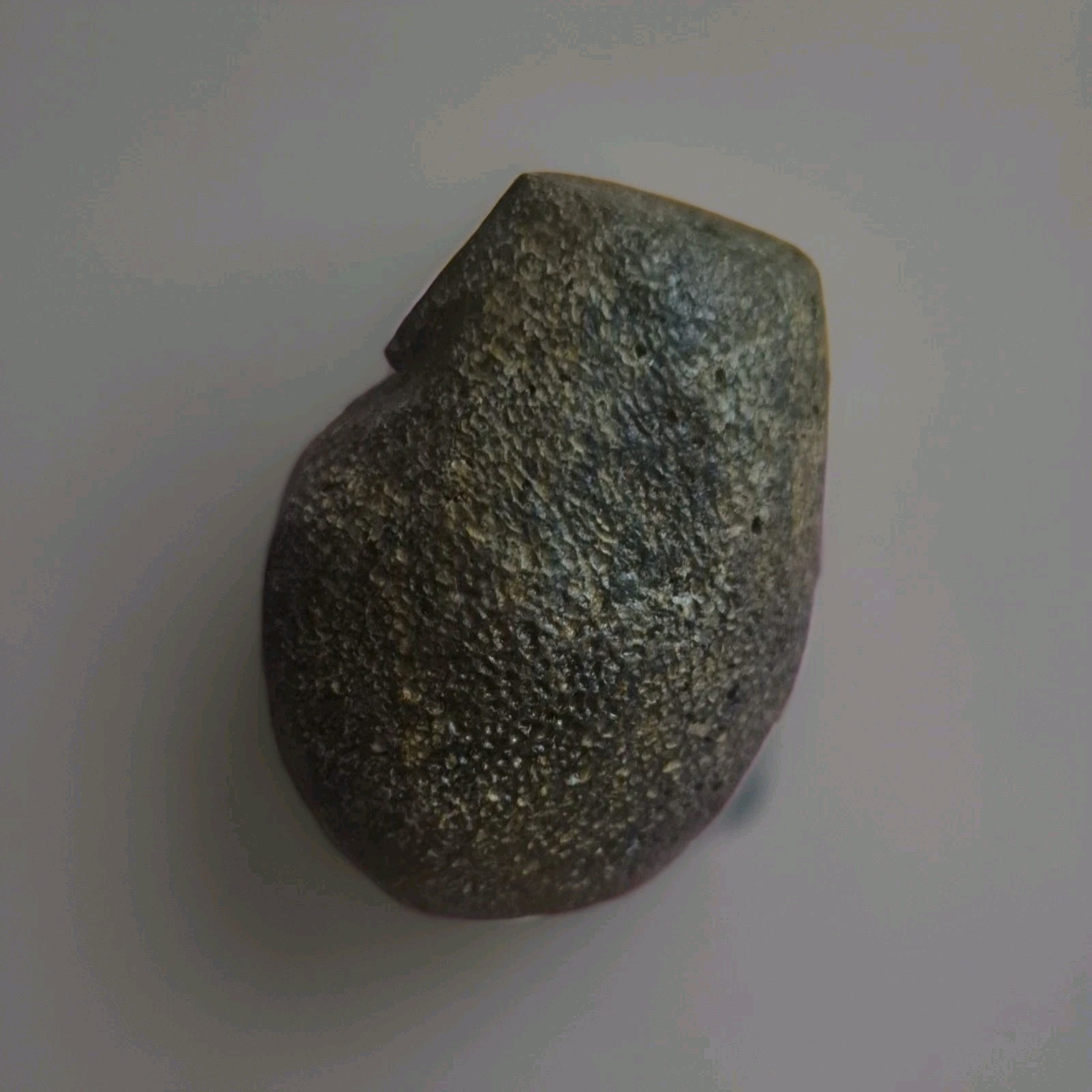 Rare Large Tibetan Kapala Citipati Bead - Relic