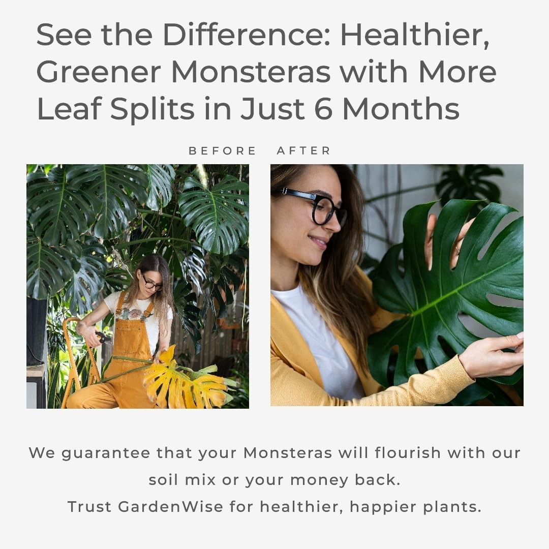Monstera Potting Mix – Organic Soil w/ Fertilizer for Indoor & Outdoor Plants🌱
