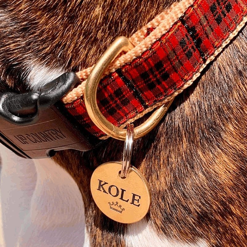 Pet Tags,Deeper Engraved,Brass Charm,Personalized Engraved Dog Cat Name ID Tag