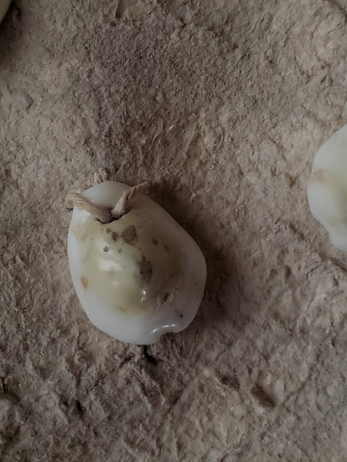 Antique OLD Native American plains Indian womans dress hide 19th c.