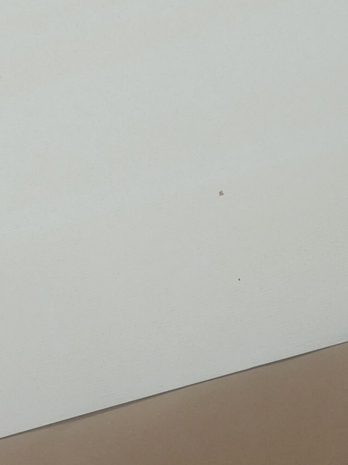 Union Station 1988 Print Carlos Diniz 1908 Print Washington D.C. 39 X 25 1/2