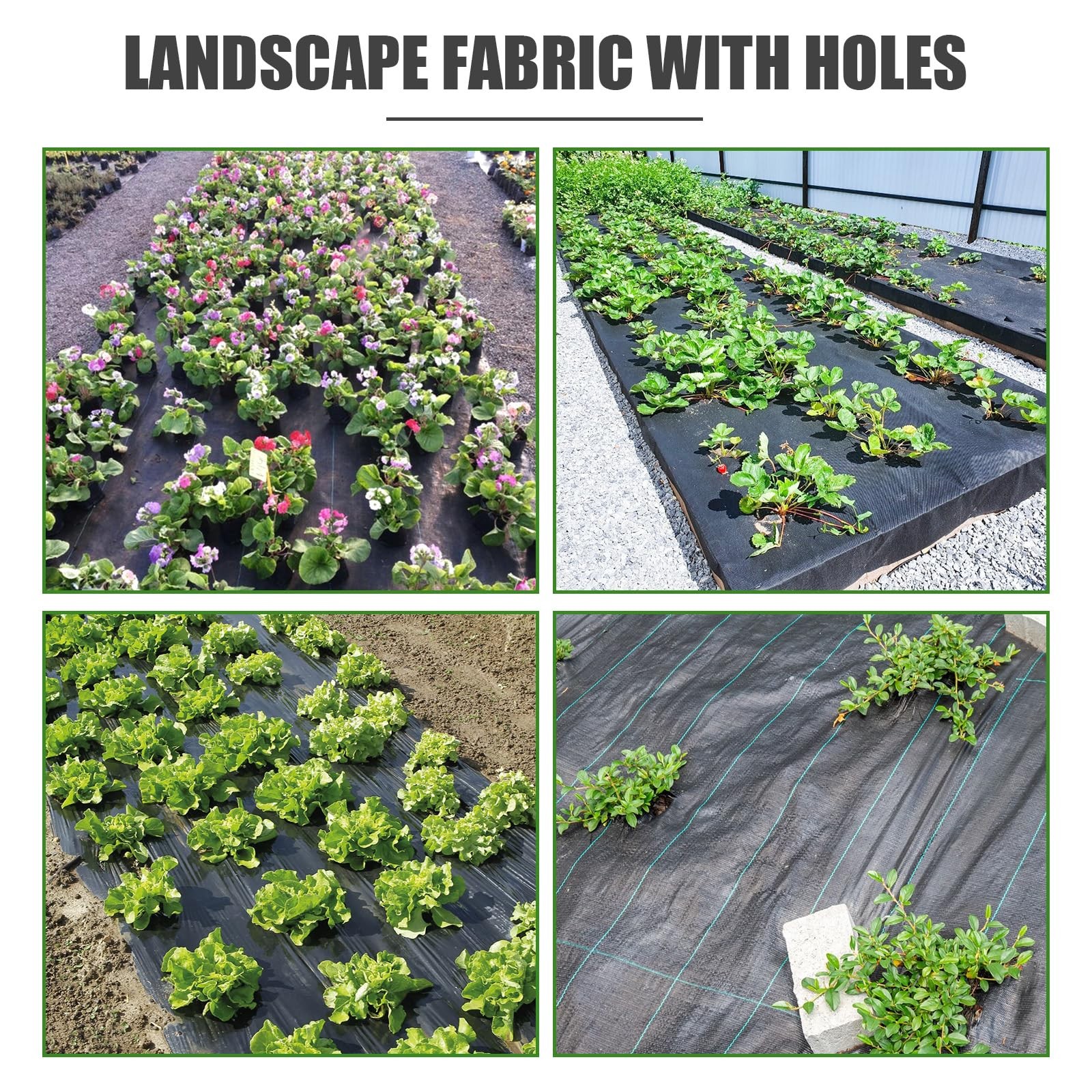 Etnorsu Weed Barrier Landscape Fabric with 3'' Planting Holes,Garden 1Pcs