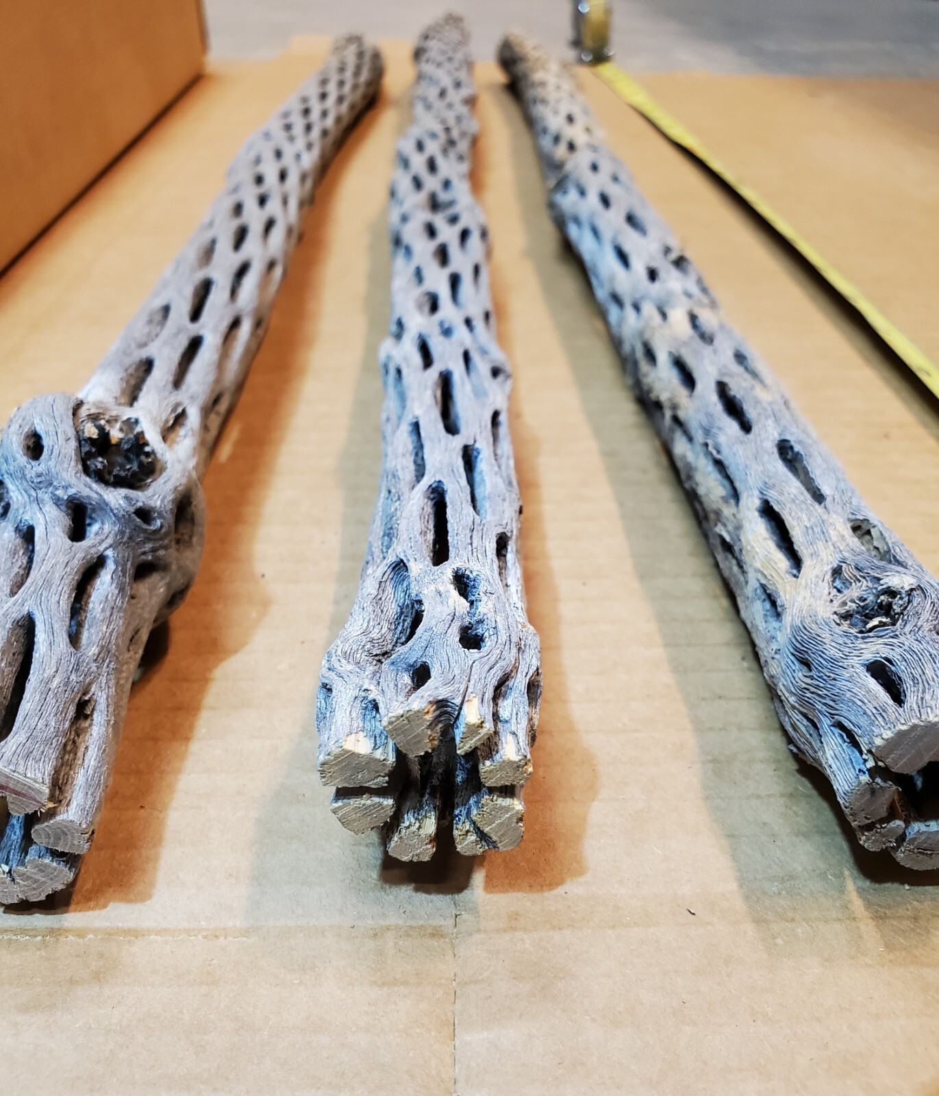 NEW! 3 CHOLLA Wood Pieces 24" inch EXTRA LONG Straight | Organic Aquarium Craft