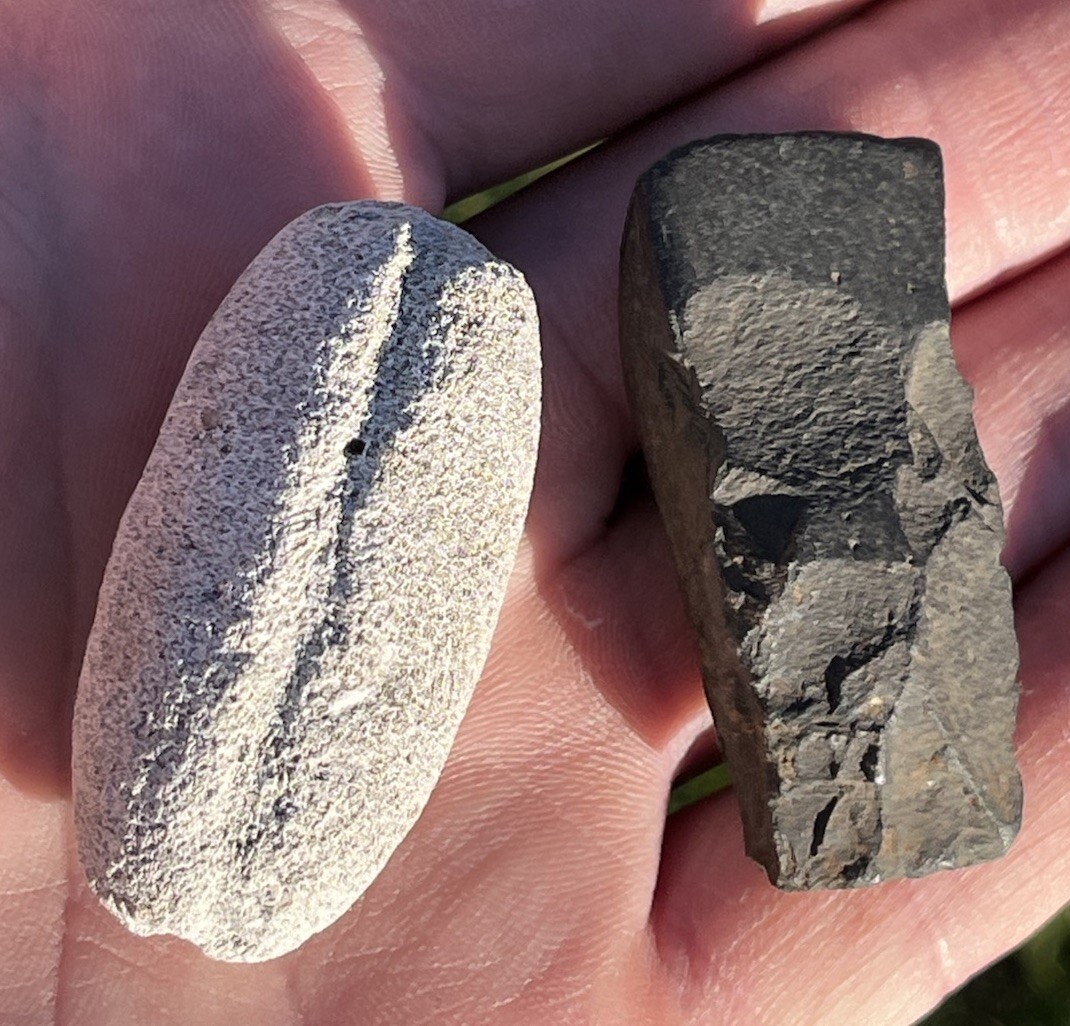 2 Pre Contact Ancient Hawaiian Finishing Adze & Weight Hawaii Artifacs