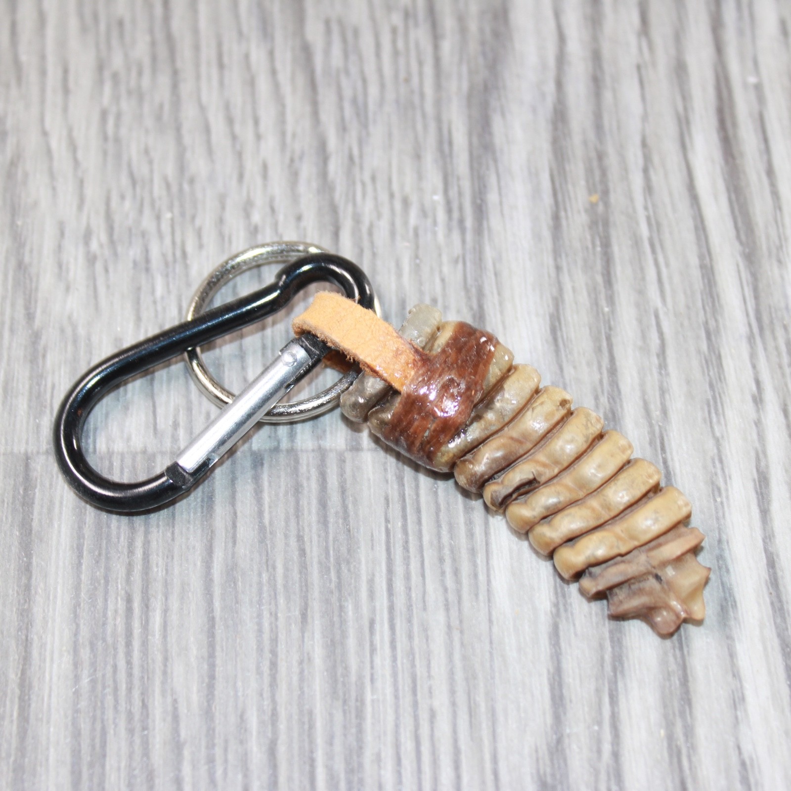 Very Large Rattlesnake Rattle Key Ring   #4662       Mountain Man Key Chain