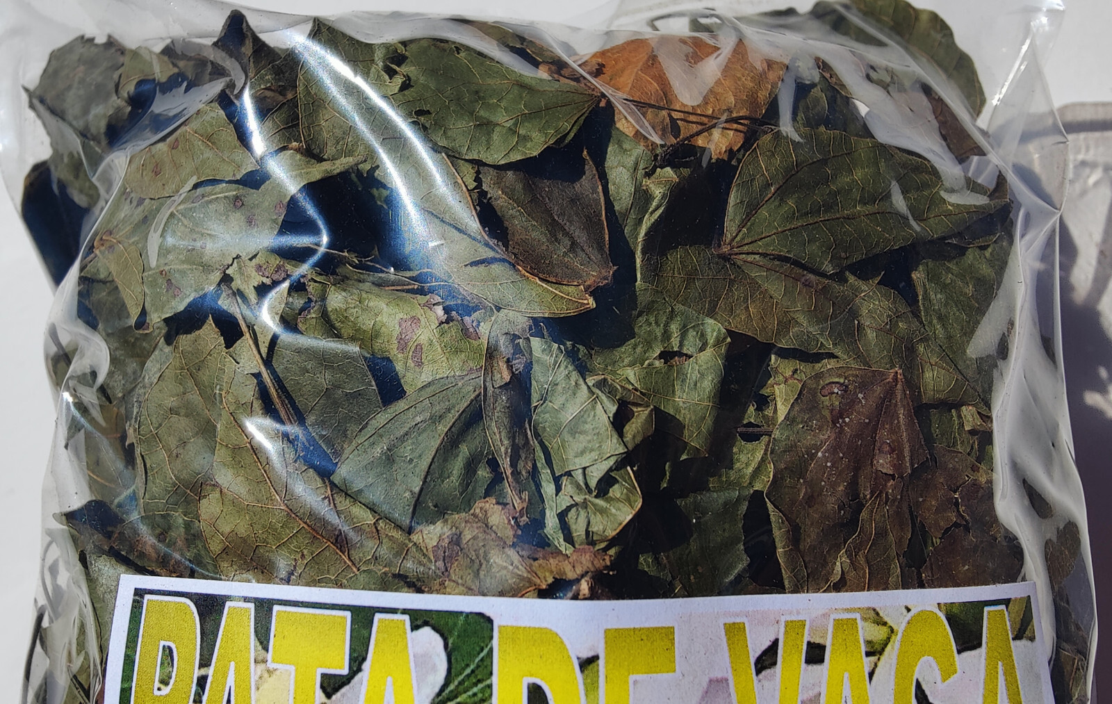 Pata de Vaca - Hojas pata de vaca - cow's foot (Bauhinia forficata)