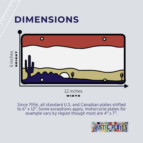 20 Roadkill Condition License Plates for Arts and Crafts