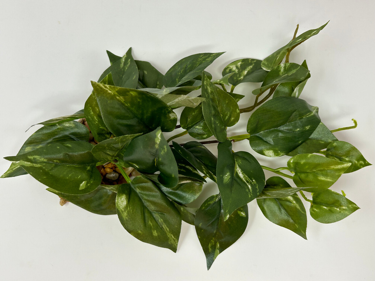 9" LONG, LOW Green/White POTHOS Bush, soft silk aquarium plant, stone base