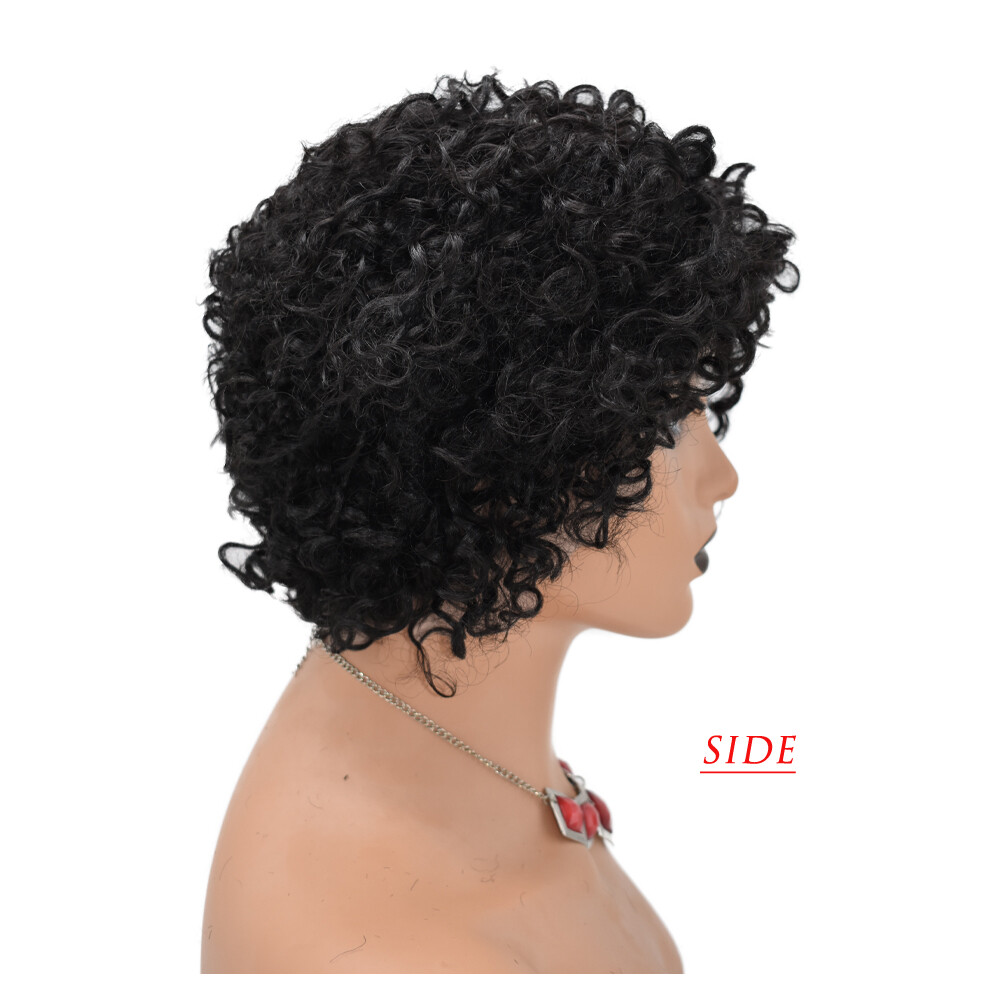 Short Kinky Curly Afro Wigs for Black Women 100% Brazilian Human Hair Natural US