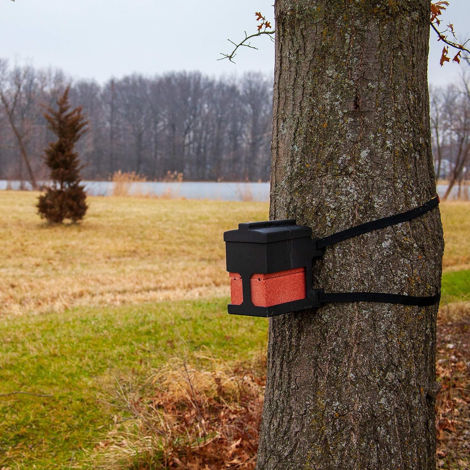 Salt Block Mineral Attractant Holder for Deer Livestock - Made in USA -Holds 4lb