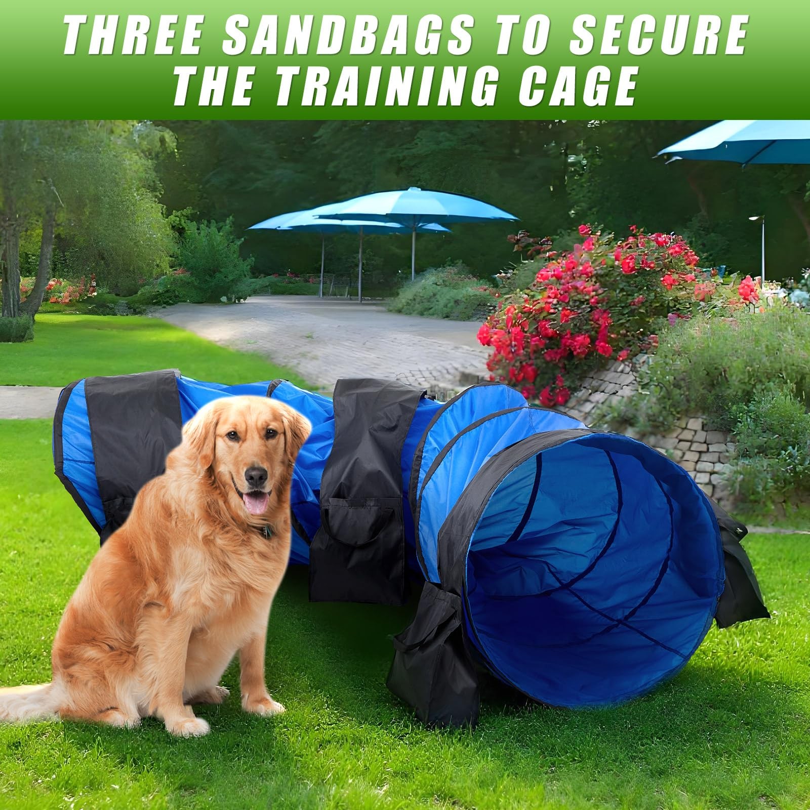 28 in 10 Foot Blue Extra Large Dog Agility Tunnel with Sandbags Dogs Agility ...