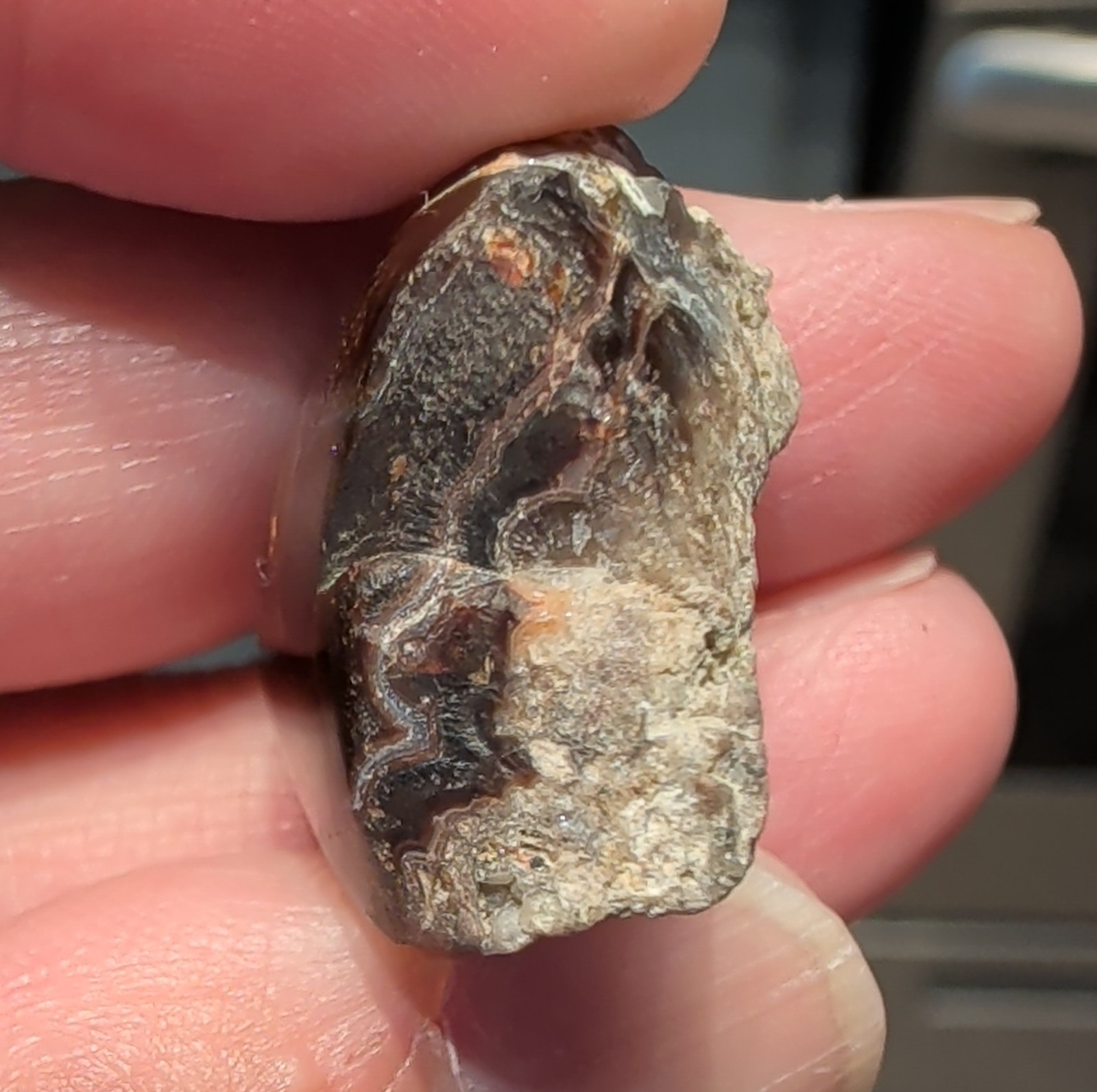 Polished Partial Fire Agate with Iridescent Specimen 7.9 grams